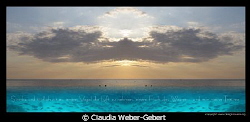 the wings of freedom

translation saying:
sensless and... by Claudia Weber-Gebert 